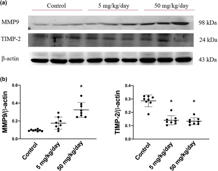 https://cdn.ncbi.nlm.nih.gov/pmc/blobs/bd33/8565594/ab3b59287132/j_biol-2021-0116-fig007.jpg