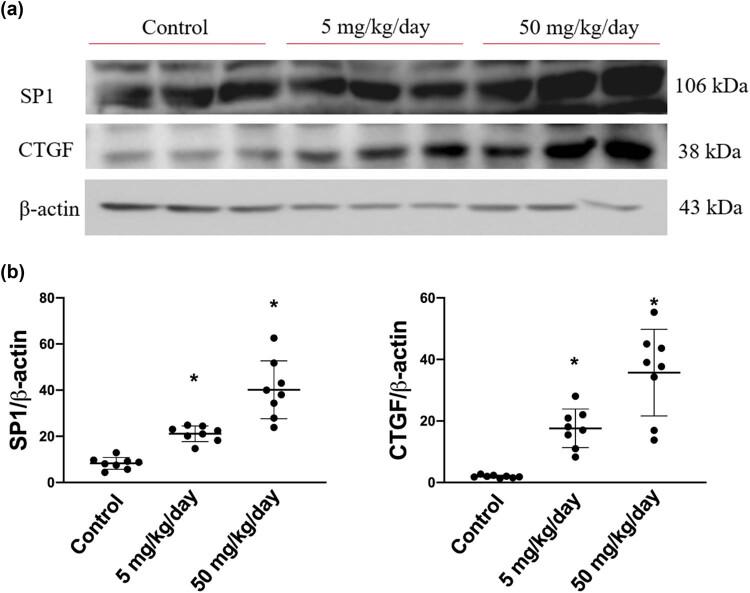 https://cdn.ncbi.nlm.nih.gov/pmc/blobs/bd33/8565594/db3a33510e29/j_biol-2021-0116-fig005.jpg