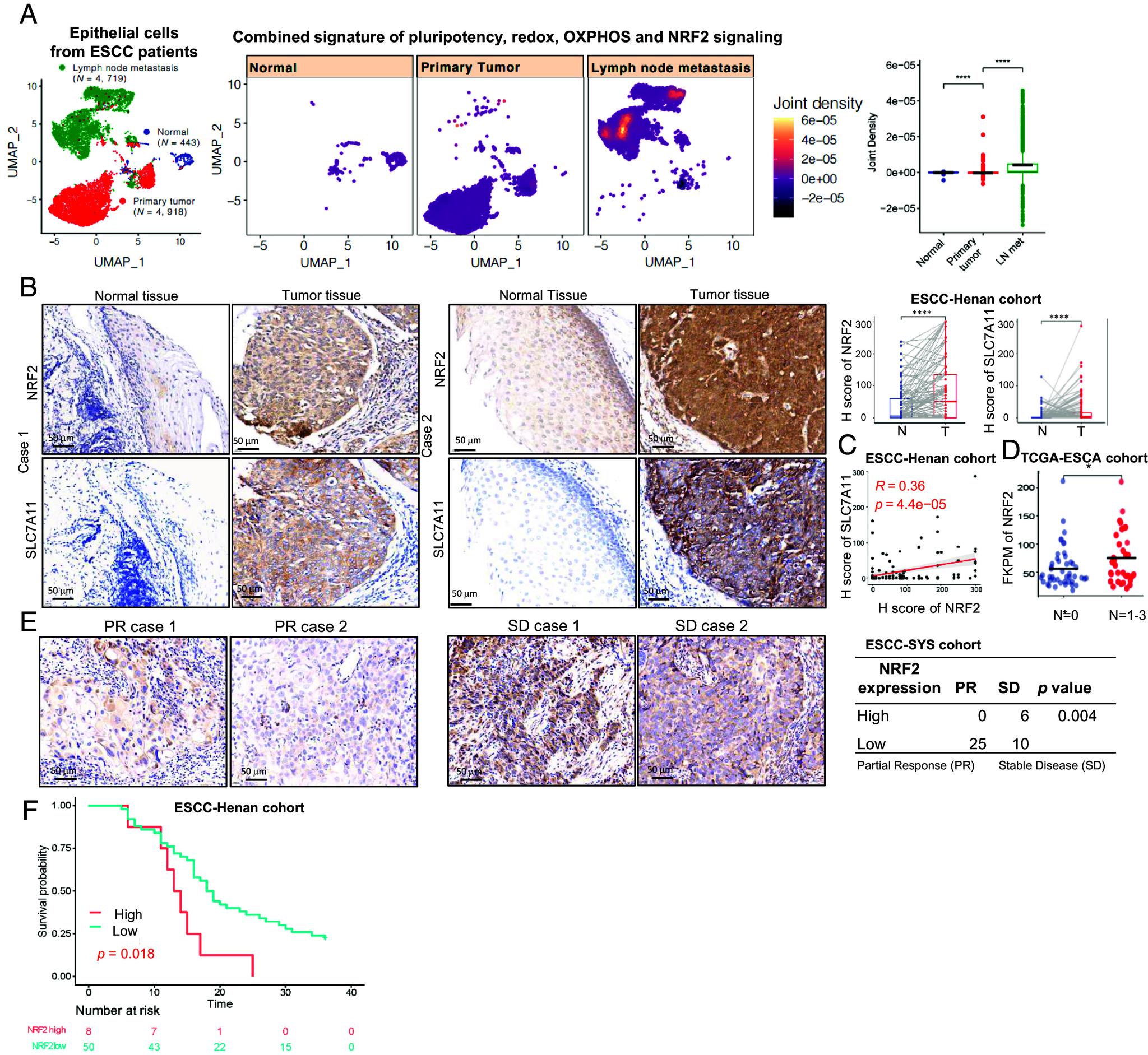 https://cdn.ncbi.nlm.nih.gov/pmc/blobs/bd53/12012528/bfddde295971/pnas.2411241122fig08.jpg