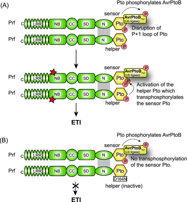 https://cdn.ncbi.nlm.nih.gov/pmc/blobs/bd54/5091034/26b50505c206/fuw026fig10.jpg