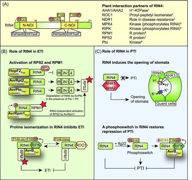 https://cdn.ncbi.nlm.nih.gov/pmc/blobs/bd54/5091034/6e25661ff162/fuw026fig11.jpg