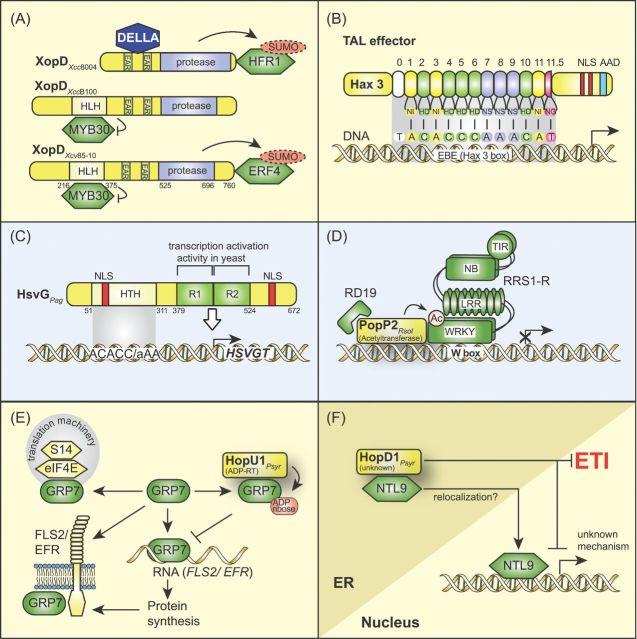 https://cdn.ncbi.nlm.nih.gov/pmc/blobs/bd54/5091034/e4b09e709621/fuw026fig7.jpg