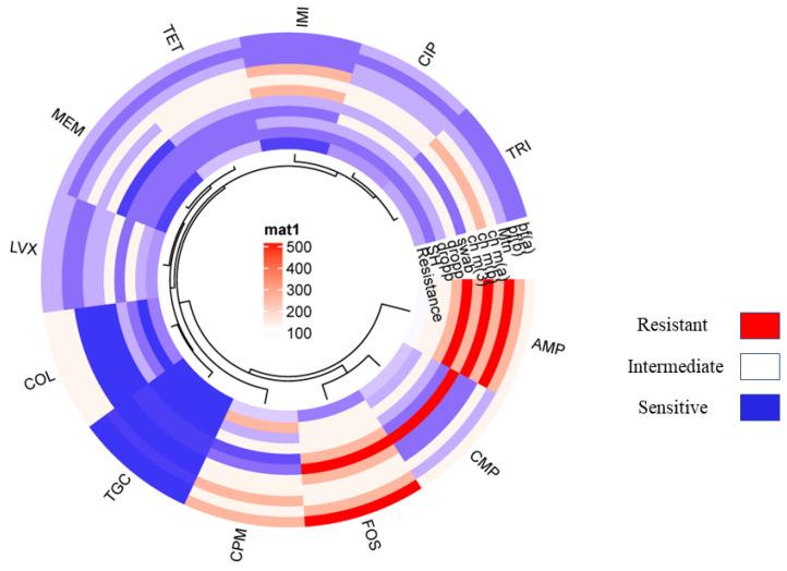 https://cdn.ncbi.nlm.nih.gov/pmc/blobs/bd78/11357323/69c8a28b8f7c/pathogens-13-00659-g002.jpg