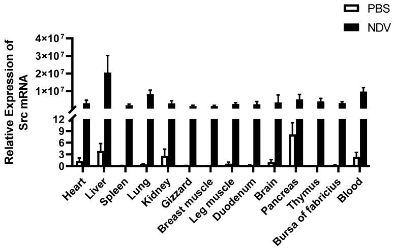 https://cdn.ncbi.nlm.nih.gov/pmc/blobs/bd82/11353579/d42908092e00/genes-15-01044-g002.jpg