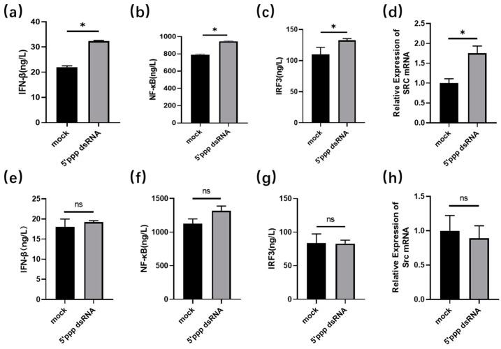 https://cdn.ncbi.nlm.nih.gov/pmc/blobs/bd82/11353579/e1874a8b0485/genes-15-01044-g003.jpg