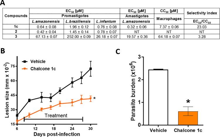 https://cdn.ncbi.nlm.nih.gov/pmc/blobs/bd88/8664226/35c2ffa24195/pntd.0009951.g002.jpg