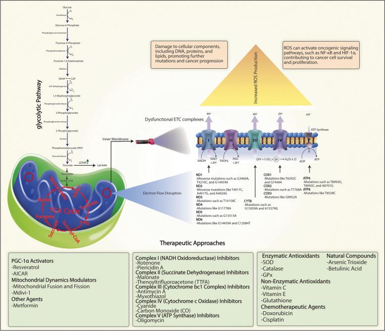 https://cdn.ncbi.nlm.nih.gov/pmc/blobs/bd8b/11409553/e9ae514e51f5/12943_2024_2119_Fig2_HTML.jpg