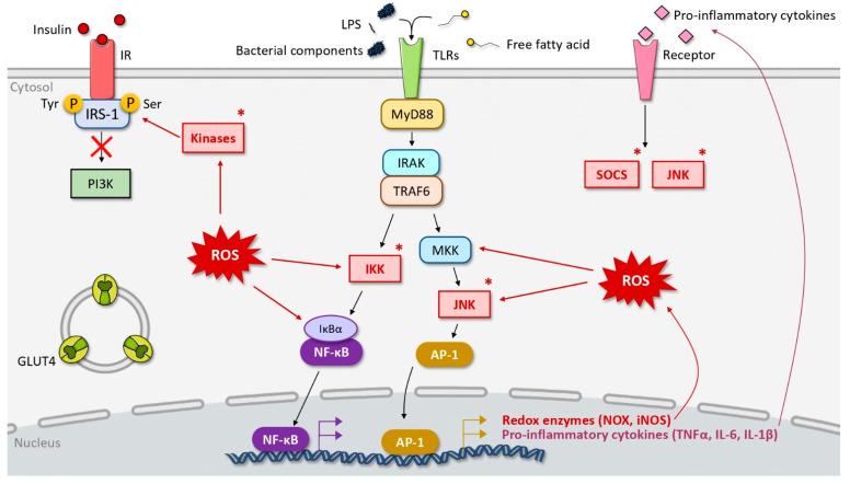 https://cdn.ncbi.nlm.nih.gov/pmc/blobs/bd8d/8945445/4b8fe0a93ca1/biomolecules-12-00378-g002.jpg