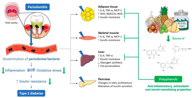 https://cdn.ncbi.nlm.nih.gov/pmc/blobs/bd8d/8945445/5c1fdcaa558c/biomolecules-12-00378-g004.jpg