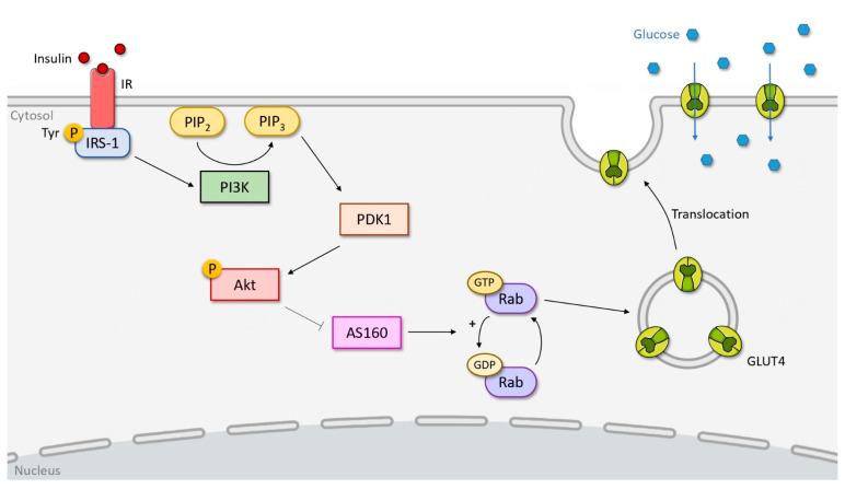 https://cdn.ncbi.nlm.nih.gov/pmc/blobs/bd8d/8945445/99e4d18565fc/biomolecules-12-00378-g001.jpg