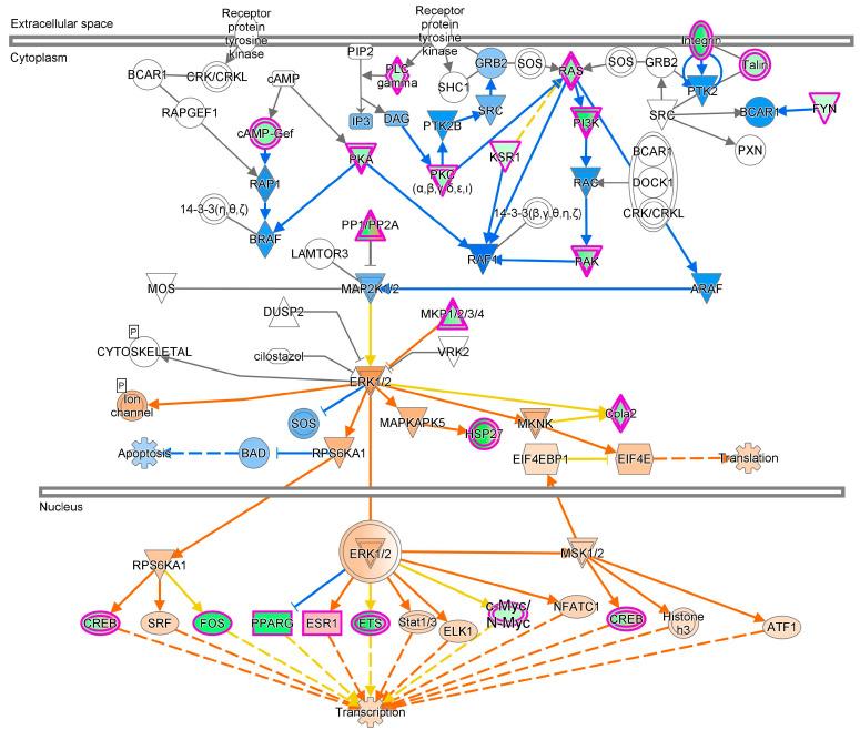 https://cdn.ncbi.nlm.nih.gov/pmc/blobs/bd90/11394487/8a6d92f2f04d/cells-13-01474-g006.jpg