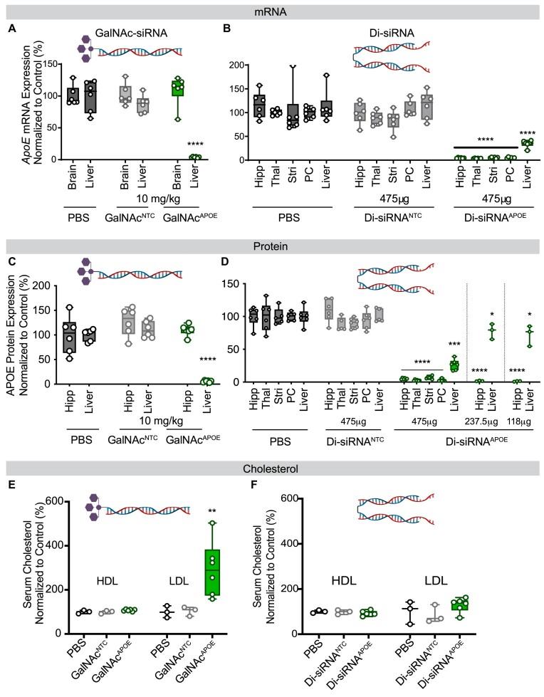 https://cdn.ncbi.nlm.nih.gov/pmc/blobs/bda4/11109952/58024f7f2115/gkae100fig2.jpg