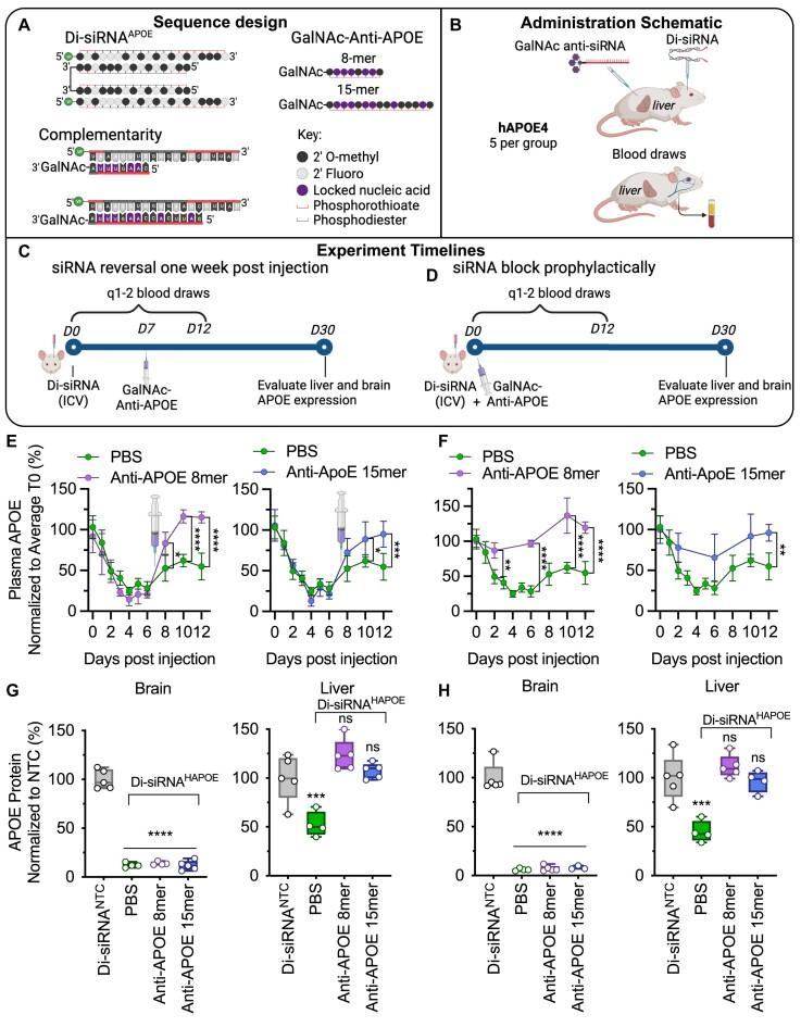 https://cdn.ncbi.nlm.nih.gov/pmc/blobs/bda4/11109952/c0d6447dc32b/gkae100fig3.jpg