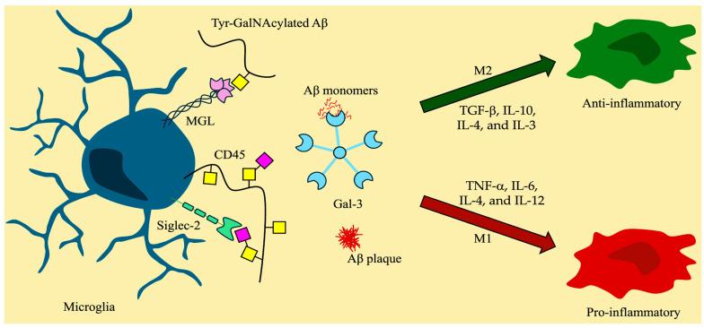 https://cdn.ncbi.nlm.nih.gov/pmc/blobs/bda6/12073284/edbd1e3ef54d/molecules-30-01895-g005.jpg