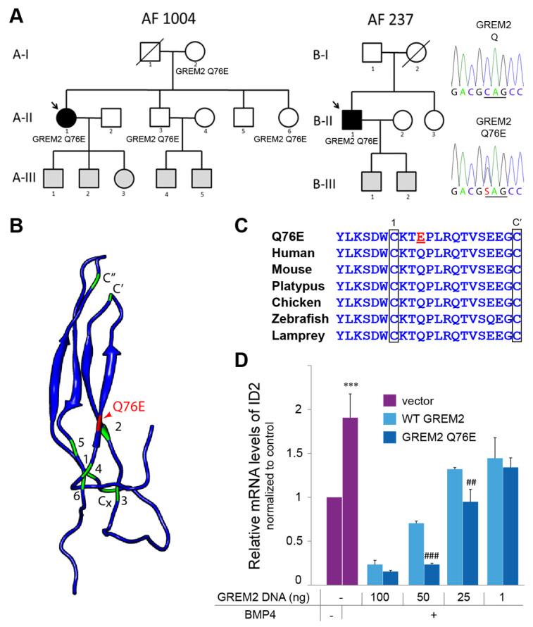 https://cdn.ncbi.nlm.nih.gov/pmc/blobs/bda6/3597016/3c7a5fbc7009/DMM010488F1.jpg
