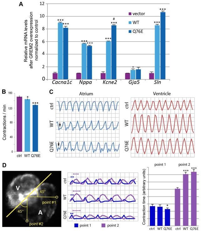 https://cdn.ncbi.nlm.nih.gov/pmc/blobs/bda6/3597016/adae631062f8/DMM010488F6.jpg