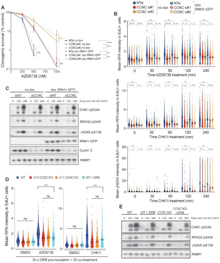 https://cdn.ncbi.nlm.nih.gov/pmc/blobs/bdbf/8421211/3cb5c0e74a7c/gkab628fig7.jpg