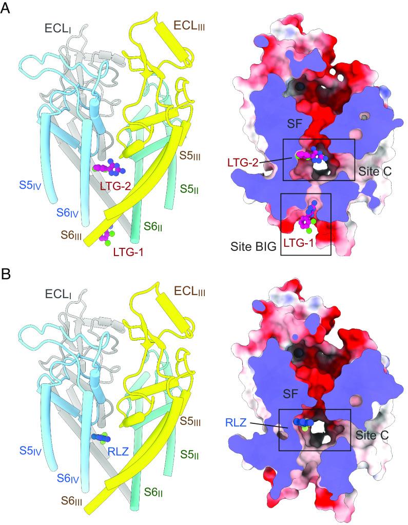 https://cdn.ncbi.nlm.nih.gov/pmc/blobs/bdd0/10576118/054e692661c5/pnas.2309773120fig01.jpg