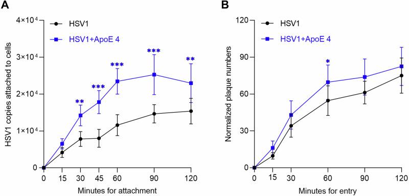 https://cdn.ncbi.nlm.nih.gov/pmc/blobs/bddb/11846946/2a339e2657f9/44298_2025_99_Fig4_HTML.jpg