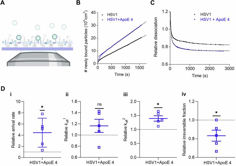 https://cdn.ncbi.nlm.nih.gov/pmc/blobs/bddb/11846946/6a92d526777f/44298_2025_99_Fig5_HTML.jpg