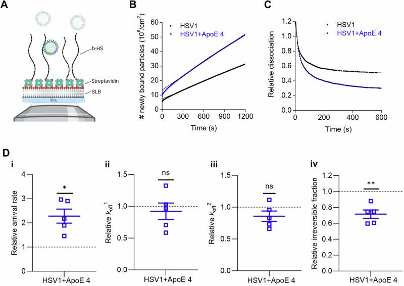 https://cdn.ncbi.nlm.nih.gov/pmc/blobs/bddb/11846946/75cae90306a4/44298_2025_99_Fig6_HTML.jpg