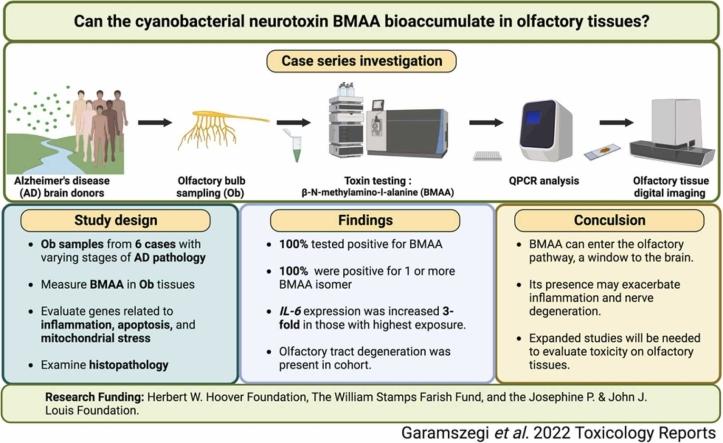 https://cdn.ncbi.nlm.nih.gov/pmc/blobs/bddb/9860447/598b38fde2da/ga1.jpg