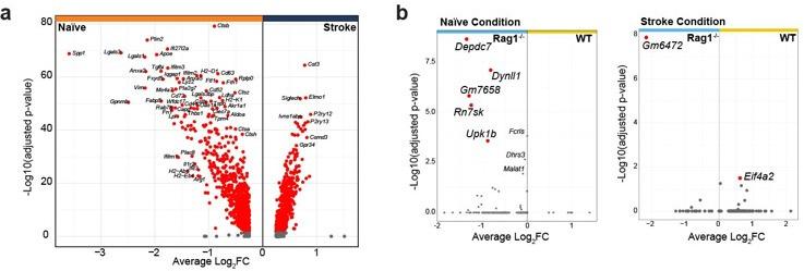 https://cdn.ncbi.nlm.nih.gov/pmc/blobs/bdf7/9747154/8593d94c792d/elife-82031-sa2-fig1.jpg