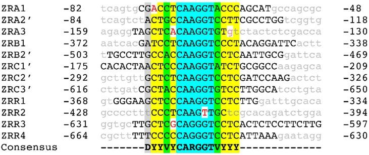 https://cdn.ncbi.nlm.nih.gov/pmc/blobs/bdf9/6070888/915e2709a026/genes-09-00318-g005.jpg