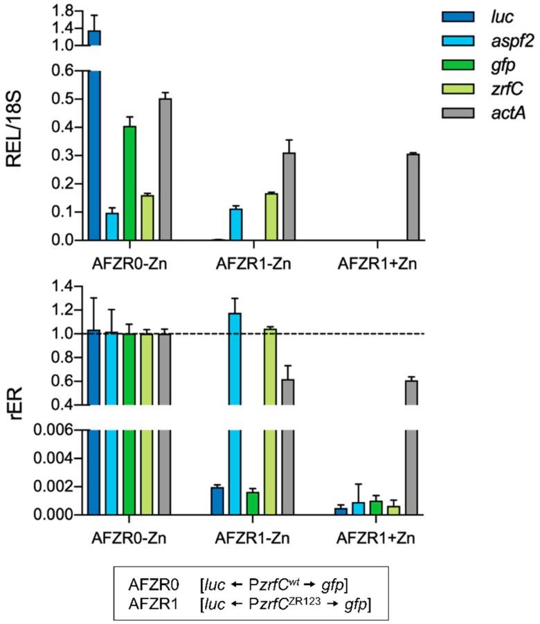https://cdn.ncbi.nlm.nih.gov/pmc/blobs/bdf9/6070888/a891abe9d985/genes-09-00318-g007.jpg