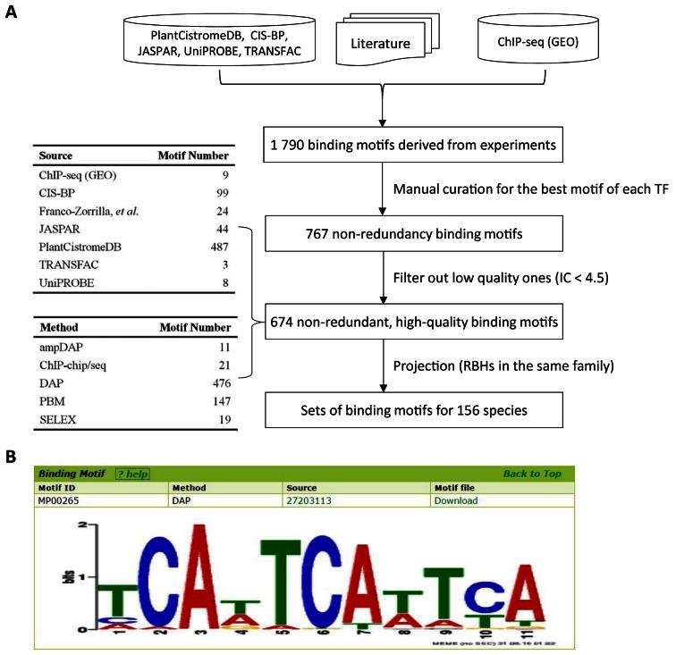 https://cdn.ncbi.nlm.nih.gov/pmc/blobs/bdfd/5210657/8b8e0bf420b3/gkw982fig4.jpg