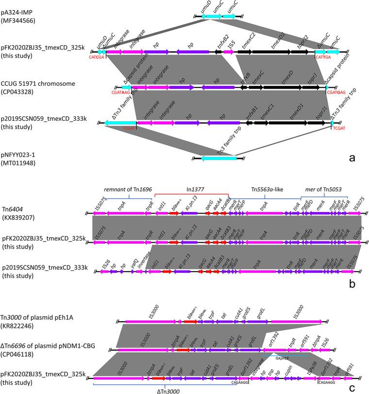 https://cdn.ncbi.nlm.nih.gov/pmc/blobs/be15/9241619/a3700aea135c/spectrum.00549-22-f002.jpg