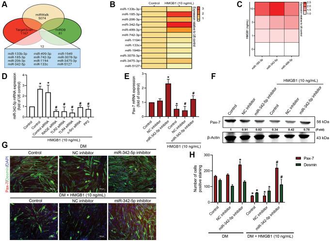 https://cdn.ncbi.nlm.nih.gov/pmc/blobs/be1b/10683625/82c65022982b/aging-15-205202-g004.jpg