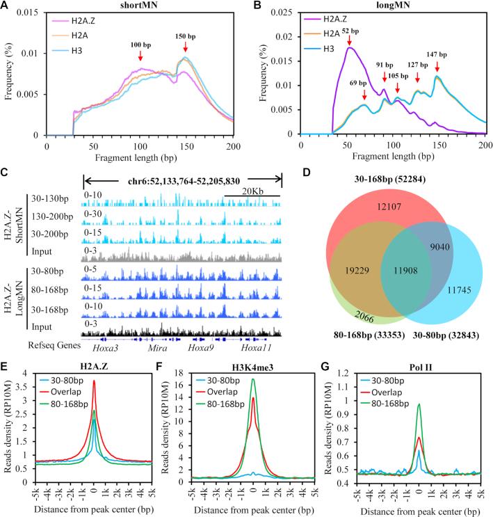 https://cdn.ncbi.nlm.nih.gov/pmc/blobs/be26/7293034/f0c638ec11eb/gkaa360fig1.jpg