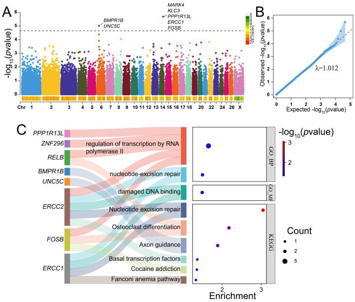 https://cdn.ncbi.nlm.nih.gov/pmc/blobs/be38/11395453/8e3b783a679d/ijms-25-09397-g006.jpg