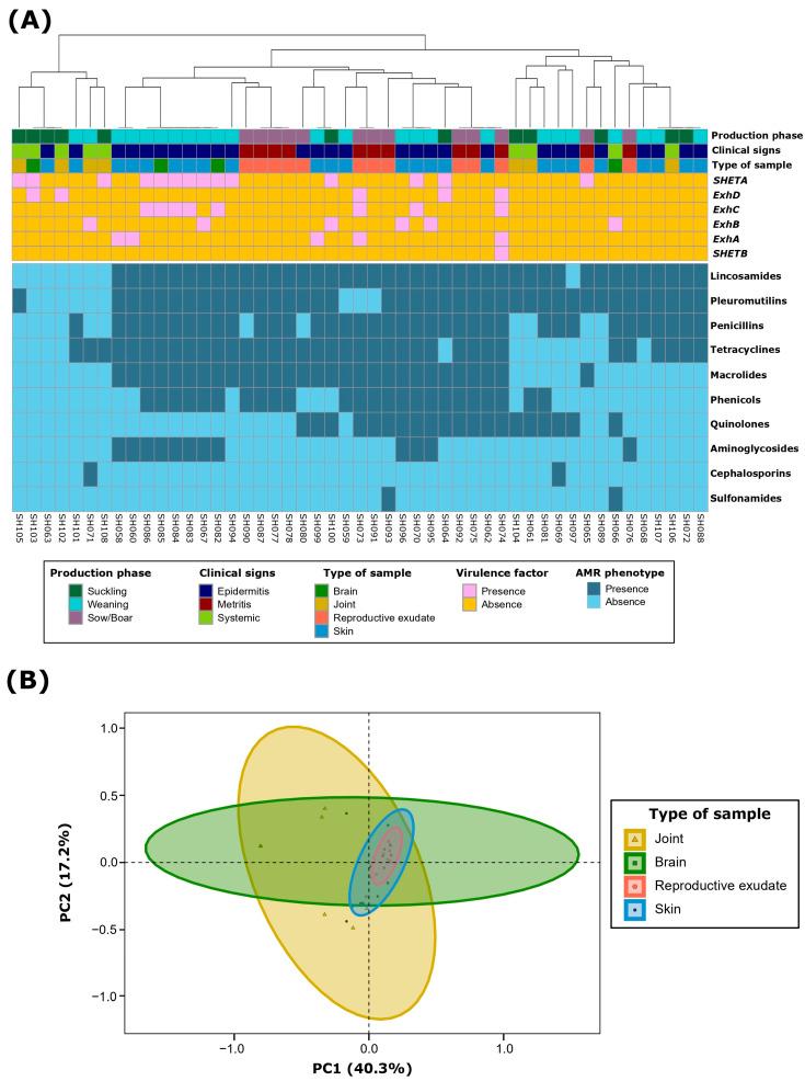 https://cdn.ncbi.nlm.nih.gov/pmc/blobs/be39/11428503/1951b57a5725/antibiotics-13-00871-g002.jpg