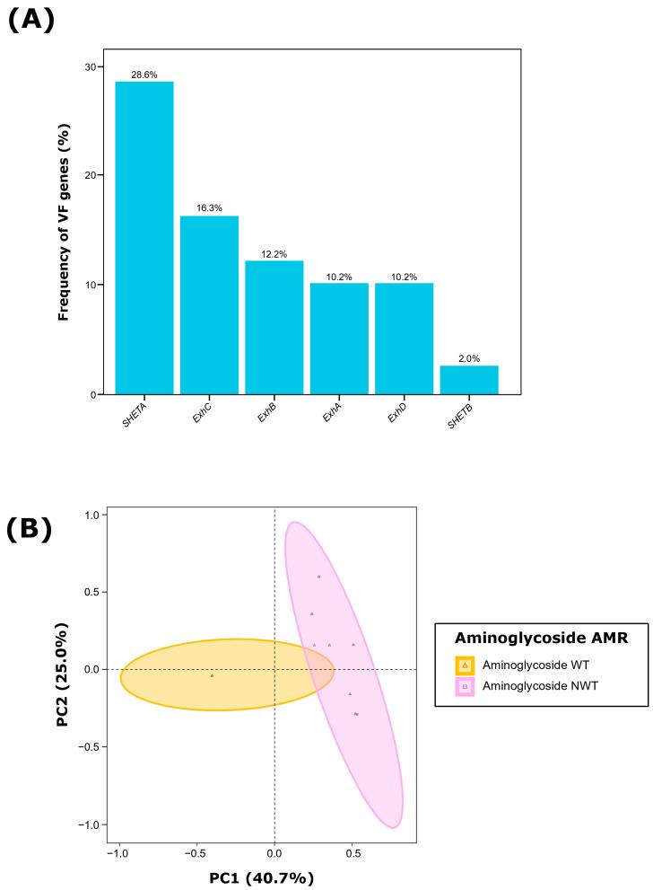 https://cdn.ncbi.nlm.nih.gov/pmc/blobs/be39/11428503/df3c896448a6/antibiotics-13-00871-g001.jpg
