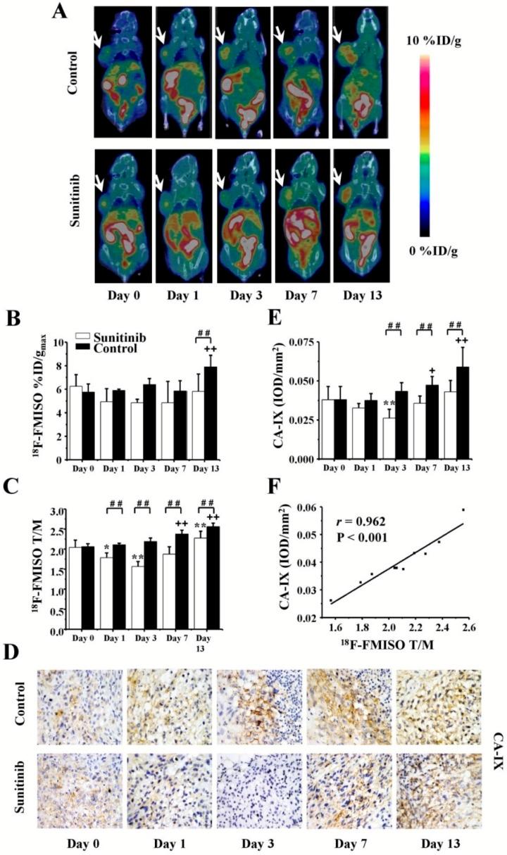https://cdn.ncbi.nlm.nih.gov/pmc/blobs/be39/5039682/625c82732e95/thnov06p2084g004.jpg