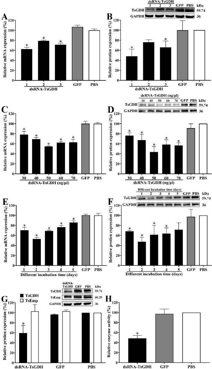 https://cdn.ncbi.nlm.nih.gov/pmc/blobs/be66/11514599/0a8b9a5710eb/parasite-31-65-fig7.jpg