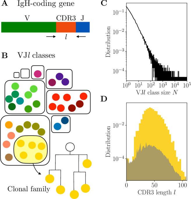 https://cdn.ncbi.nlm.nih.gov/pmc/blobs/be6b/11441979/24cbb7477c1f/elife-86181-fig1.jpg