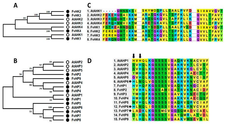 https://cdn.ncbi.nlm.nih.gov/pmc/blobs/be73/10649685/c03bde922977/plants-12-03672-g001.jpg