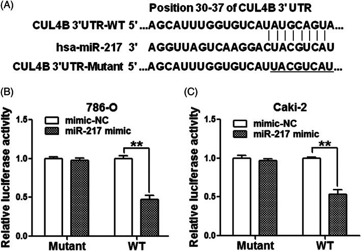 https://cdn.ncbi.nlm.nih.gov/pmc/blobs/be7f/11896321/471f48778862/KJM2-37-121-g002.jpg