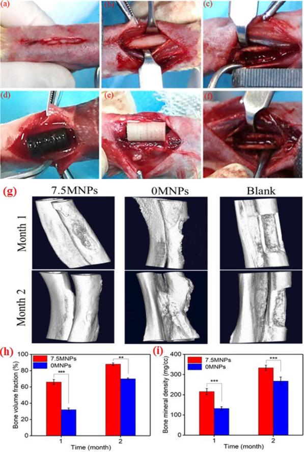 https://cdn.ncbi.nlm.nih.gov/pmc/blobs/bead/10403948/b83437be5396/13287_2023_3426_Fig6_HTML.jpg
