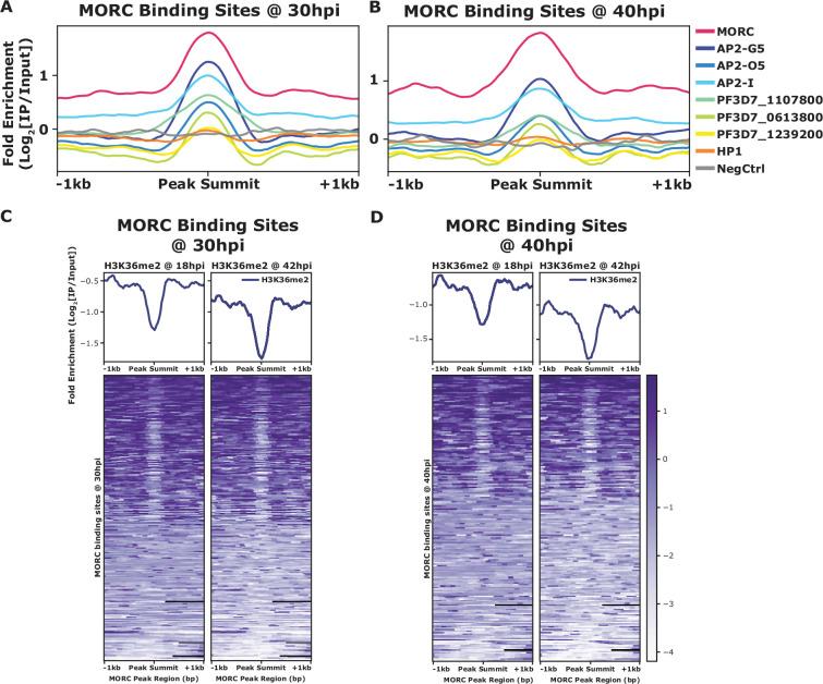 https://cdn.ncbi.nlm.nih.gov/pmc/blobs/beb5/11483127/2ef8ca273f3f/elife-92201-fig3.jpg