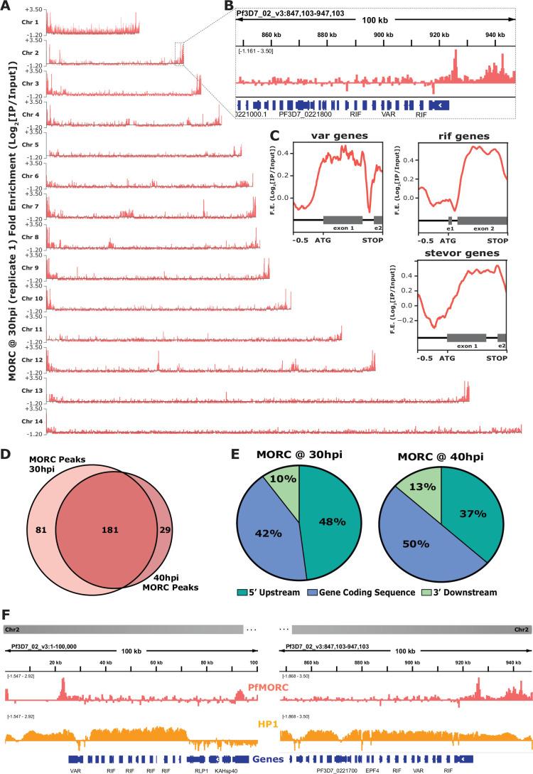 https://cdn.ncbi.nlm.nih.gov/pmc/blobs/beb5/11483127/3a3385a53914/elife-92201-fig2.jpg