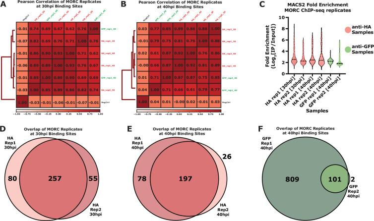 https://cdn.ncbi.nlm.nih.gov/pmc/blobs/beb5/11483127/7fb3663cefcc/elife-92201-fig2-figsupp1.jpg