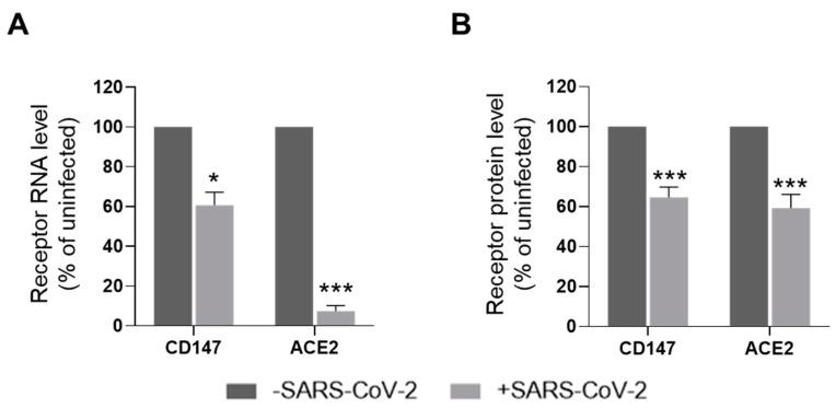 https://cdn.ncbi.nlm.nih.gov/pmc/blobs/bec9/8226513/5a0fd5081cd4/cells-10-01434-g003.jpg
