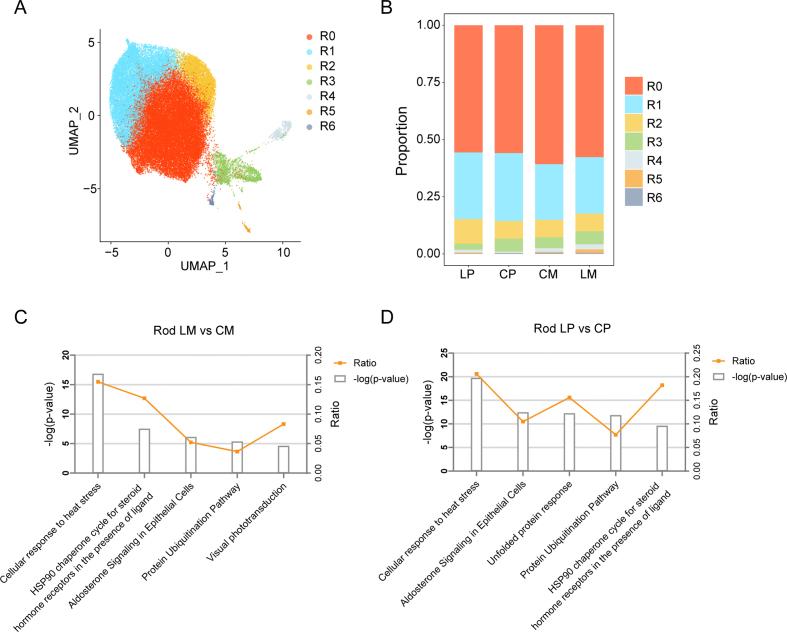 https://cdn.ncbi.nlm.nih.gov/pmc/blobs/beeb/12178937/96f0570efa46/mmcfigs1.jpg