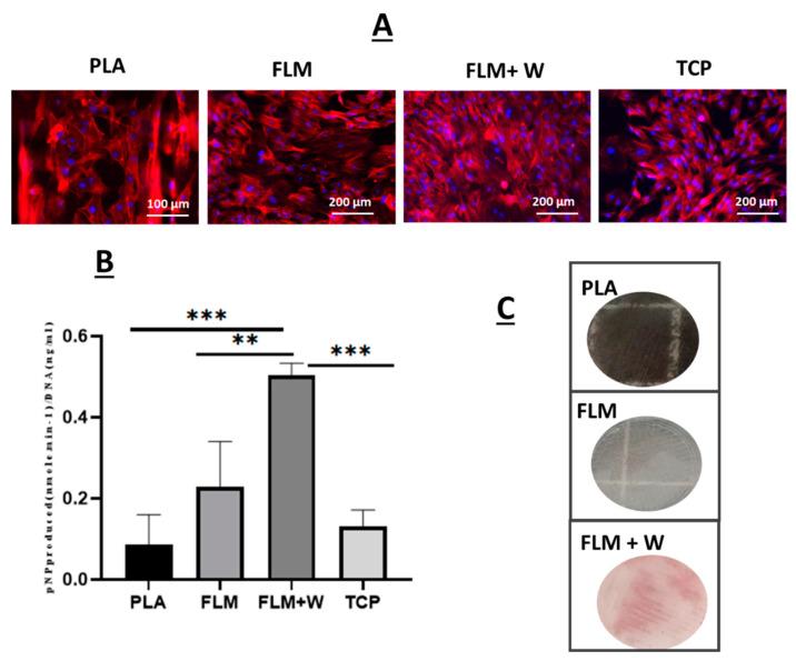 https://cdn.ncbi.nlm.nih.gov/pmc/blobs/bef1/9025038/32797224cf70/bioengineering-09-00163-g005.jpg