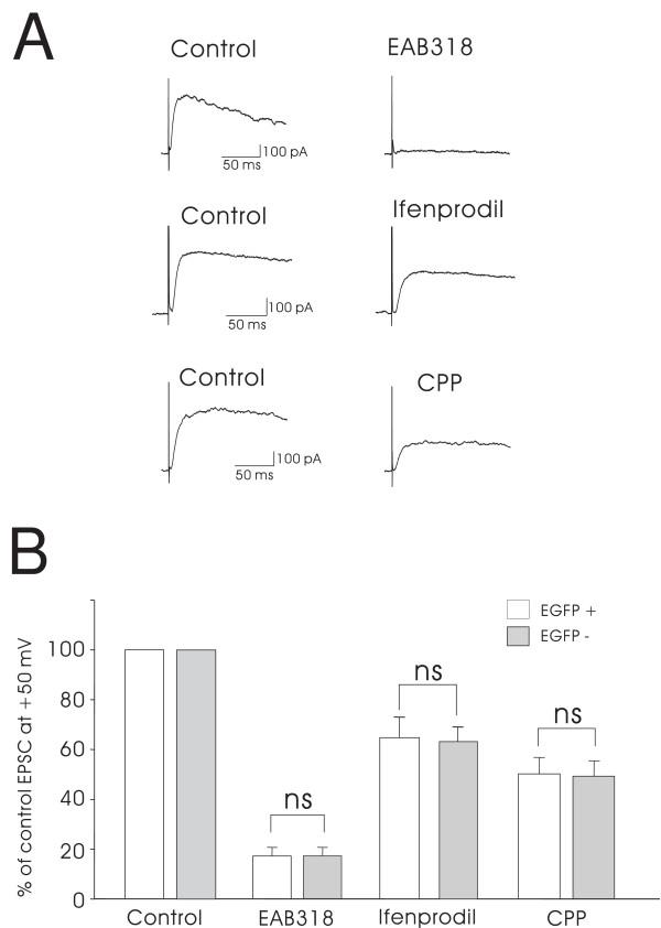 https://cdn.ncbi.nlm.nih.gov/pmc/blobs/befe/2879240/fef8cf83752d/1744-8069-6-26-6.jpg