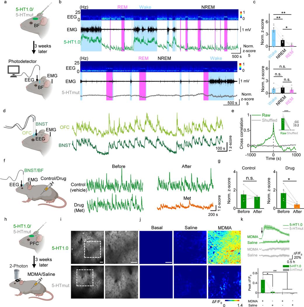 https://cdn.ncbi.nlm.nih.gov/pmc/blobs/bf29/8544647/bbda2f74cb19/nihms-1675928-f0003.jpg